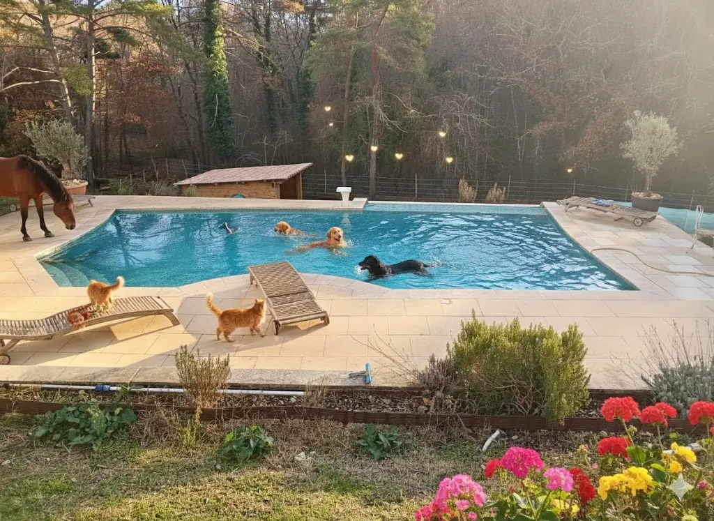 Les Copains d'Elsa and Co