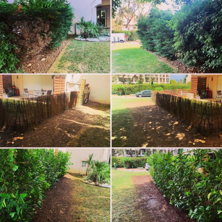 Entreprise GARDEN ELAGUE Grasse - Tony PORTELLI Elagueur Abattage Arbres Palmiers Oliviers Jardinier Paysagiste Aménagement à Grasse 06130 Evacue tous les déchets. Camion et broyeur Disponible.