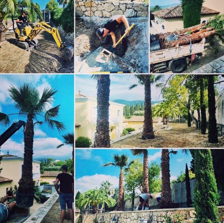 Entreprise GARDEN ELAGUE Grasse - Tony PORTELLI Elagueur Abattage Arbres Palmiers Oliviers Jardinier Paysagiste Aménagement à Grasse 06130 Evacue tous les déchets. Camion et broyeur Disponible.