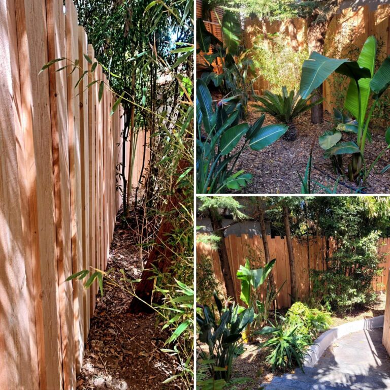 Entreprise GARDEN ELAGUE Grasse - Tony PORTELLI Elagueur Abattage Arbres Palmiers Oliviers Jardinier Paysagiste Aménagement à Grasse 06130 Evacue tous les déchets. Camion et broyeur Disponible.