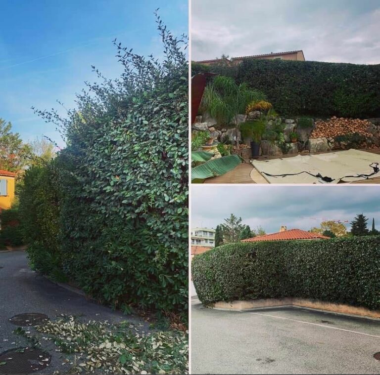 Entreprise GARDEN ELAGUE Grasse - Tony PORTELLI Elagueur Abattage Arbres Palmiers Oliviers Jardinier Paysagiste Aménagement à Grasse 06130 Evacue tous les déchets. Camion et broyeur Disponible.