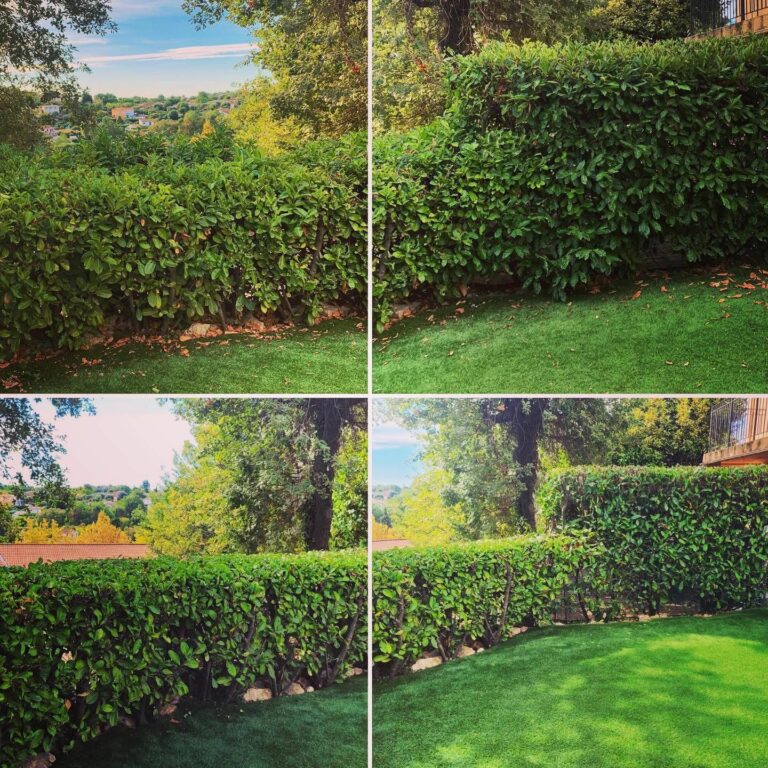 Entreprise GARDEN ELAGUE Grasse - Tony PORTELLI Elagueur Abattage Arbres Palmiers Oliviers Jardinier Paysagiste Aménagement à Grasse 06130 Evacue tous les déchets. Camion et broyeur Disponible.
