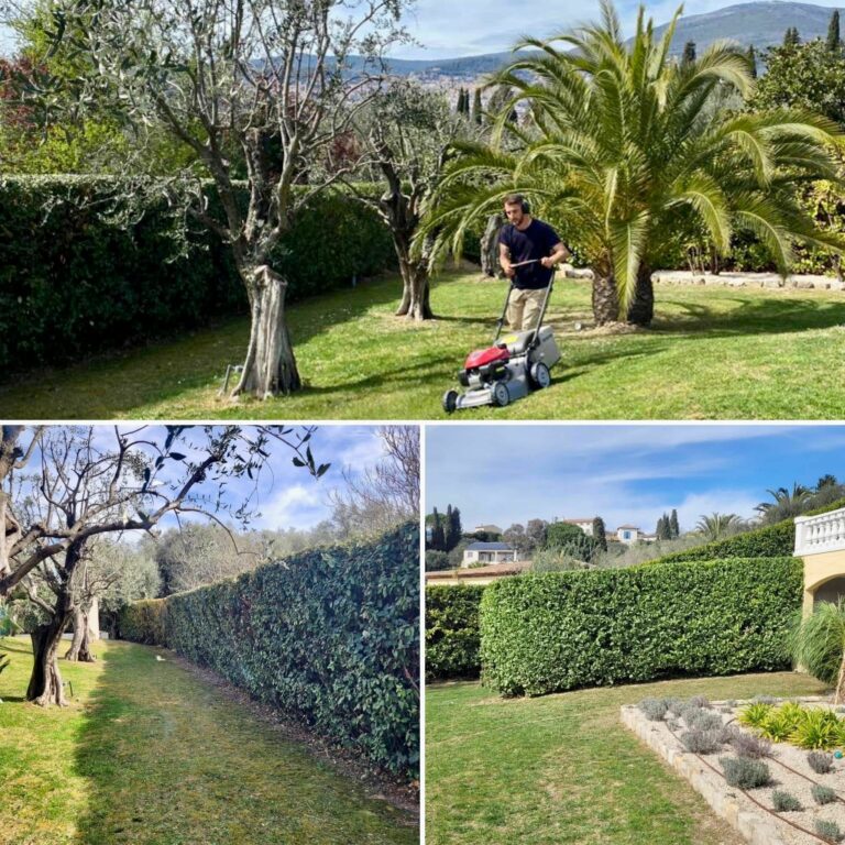 Entreprise GARDEN ELAGUE Grasse - Tony PORTELLI Elagueur Abattage Arbres Palmiers Oliviers Jardinier Paysagiste Aménagement à Grasse 06130 Evacue tous les déchets. Camion et broyeur Disponible.