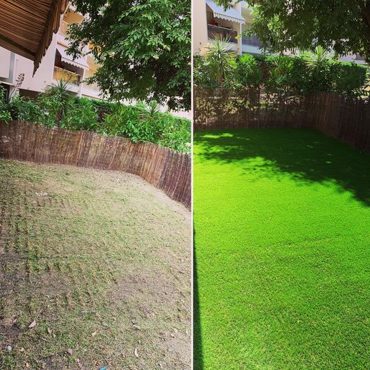 Entreprise GARDEN ELAGUE Grasse - Tony PORTELLI Elagueur Abattage Arbres Palmiers Oliviers Jardinier Paysagiste Aménagement à Grasse 06130 Evacue tous les déchets. Camion et broyeur Disponible.