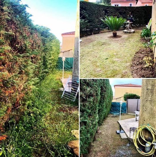 Entreprise GARDEN ELAGUE Grasse - Tony PORTELLI Elagueur Abattage Arbres Palmiers Oliviers Jardinier Paysagiste Aménagement à Grasse 06130 Evacue tous les déchets. Camion et broyeur Disponible.